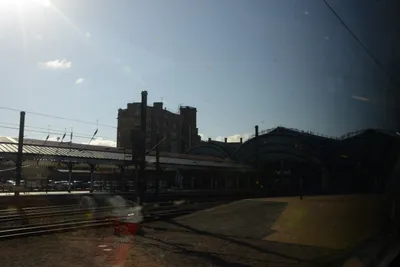 DSC_7187 (Large).JPG